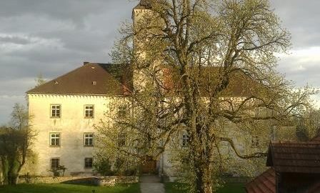 Schloss Eschelberg bei Linz